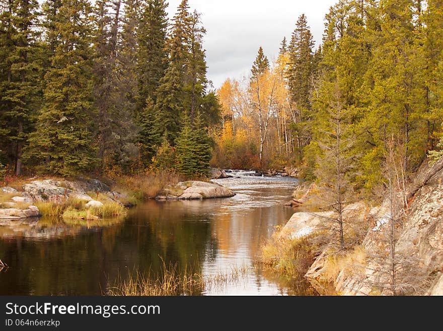 A narrow winding stream through a forest of trees and rocks. A narrow winding stream through a forest of trees and rocks