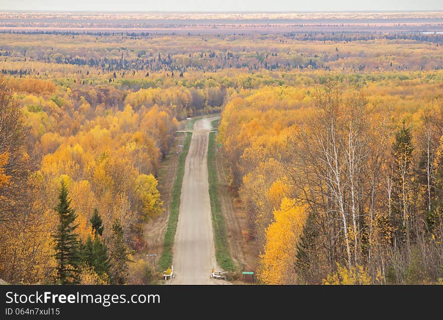 A narrow curved road surrounded by forest