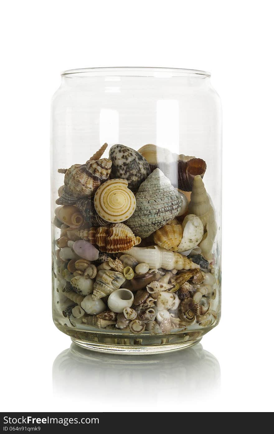 Small shells in jar on white background. Small shells in jar on white background