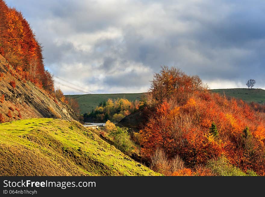 Autumn hillside with red and yellow forest