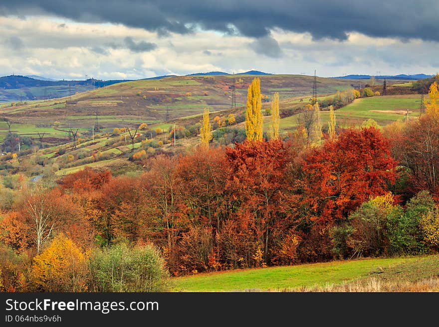 Autumn Hillside With Red And Yellow Forest