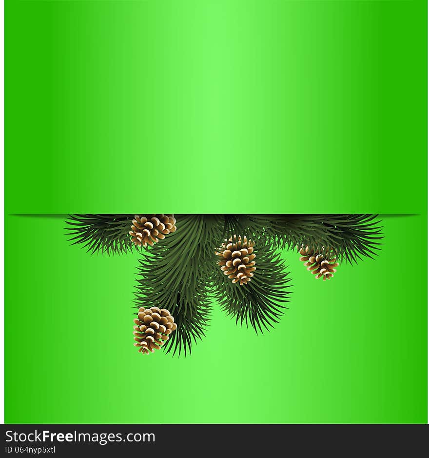 Christmas fir background