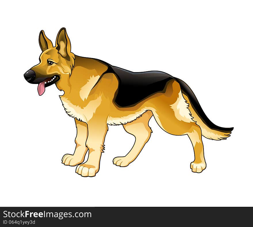 German Shepherd. Vector isolated dog.