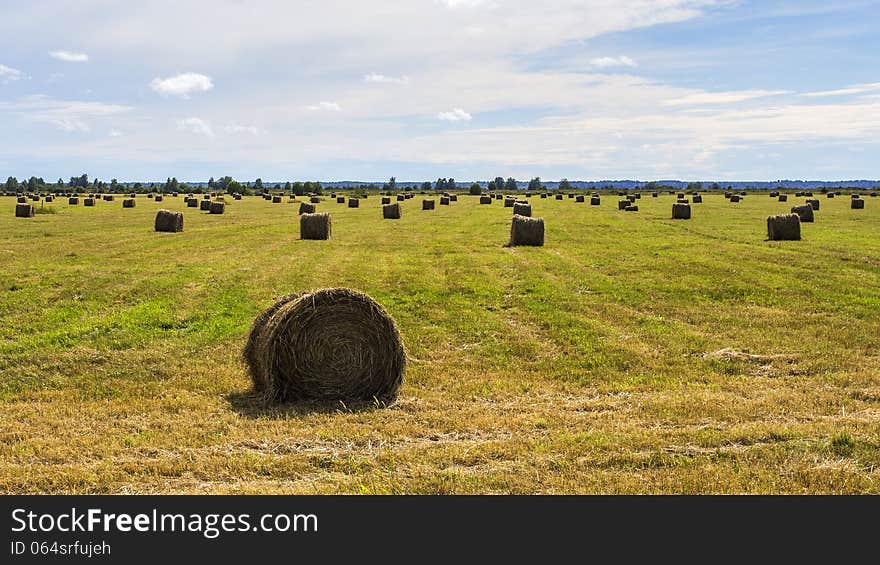 Haymaking in South Karelia, Russia