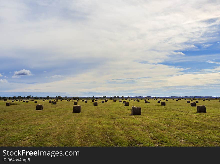 Haymaking in South Karelia, Russia