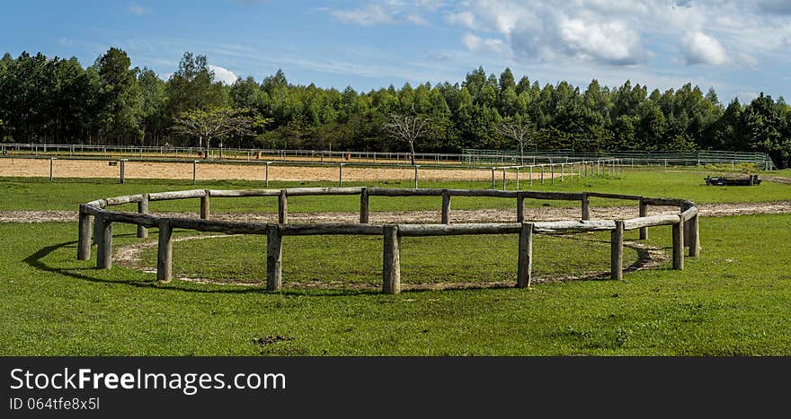 Horsemanship arena for training equines