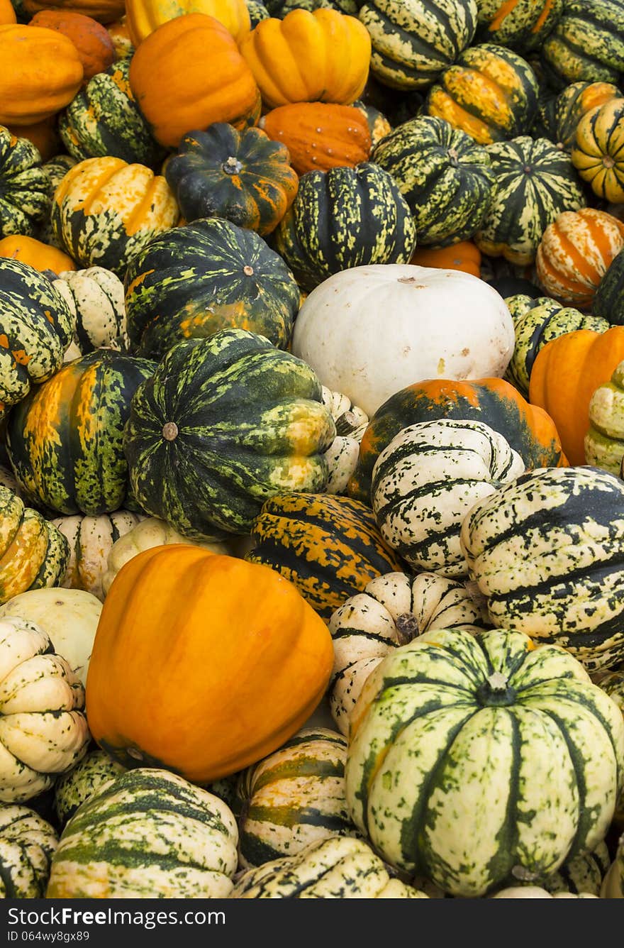 Colourful fresh pumpkins at a local farmer's market. Colourful fresh pumpkins at a local farmer's market