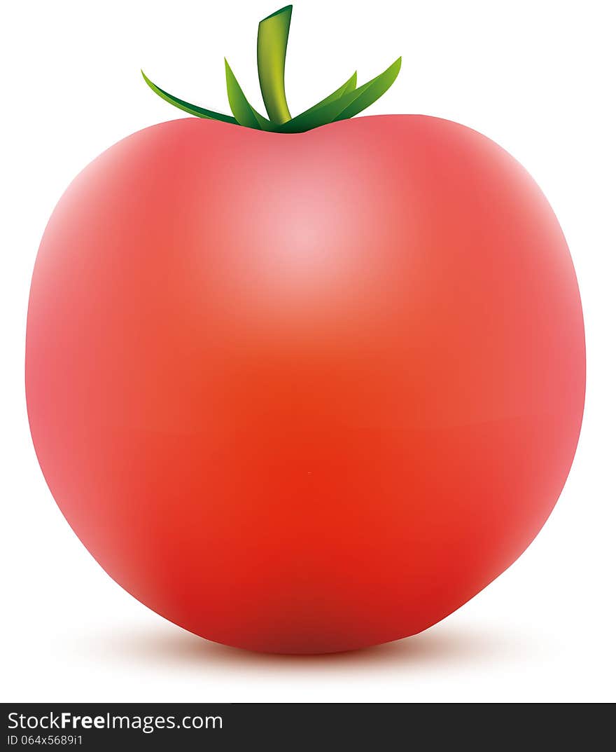 Abstract illustration of tomato with shadow on white background eps10