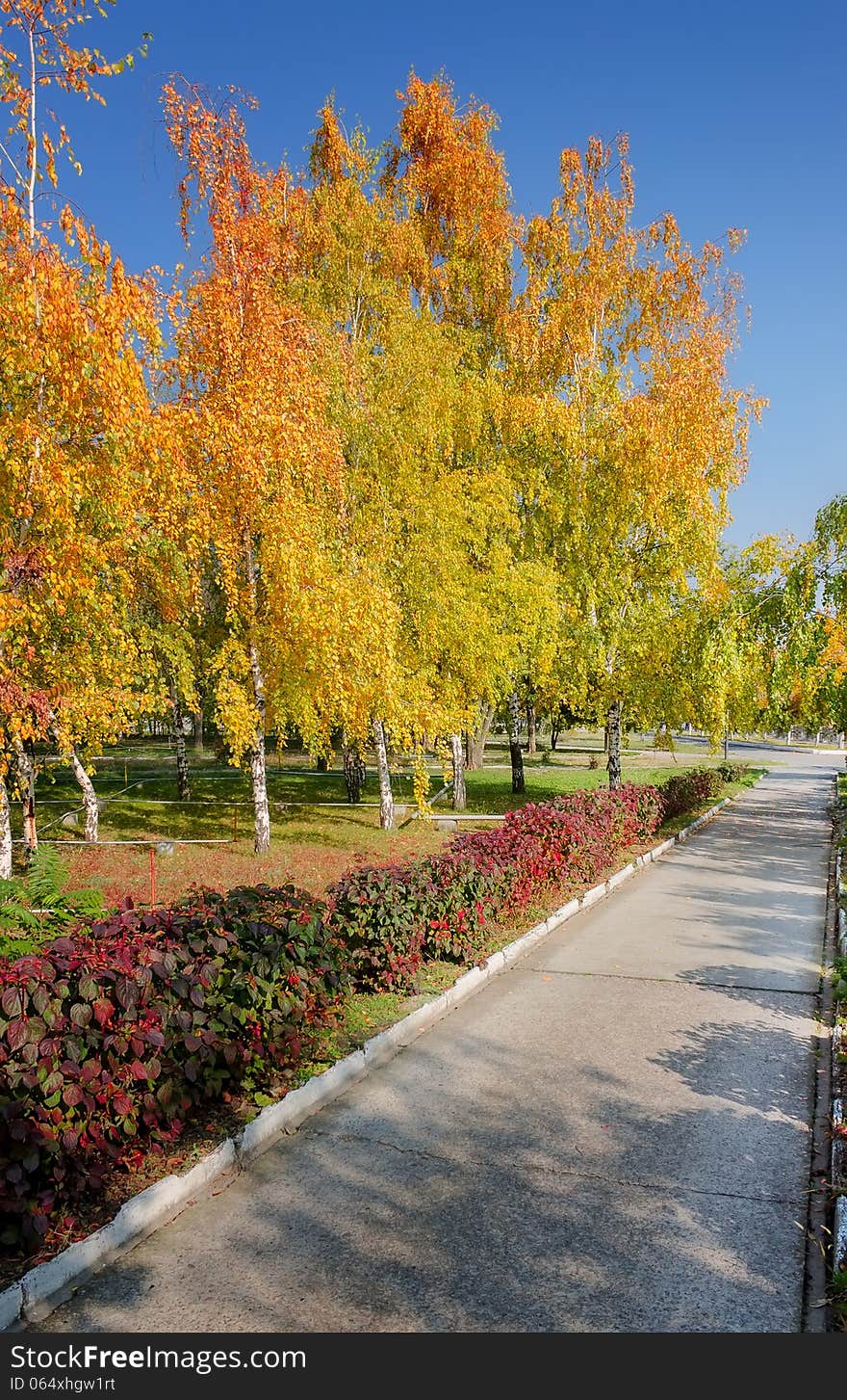 Photo sunny day autumn trees late autumn