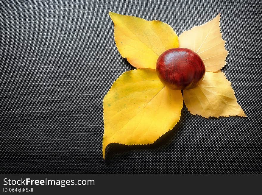 Chestnut lying on leaves