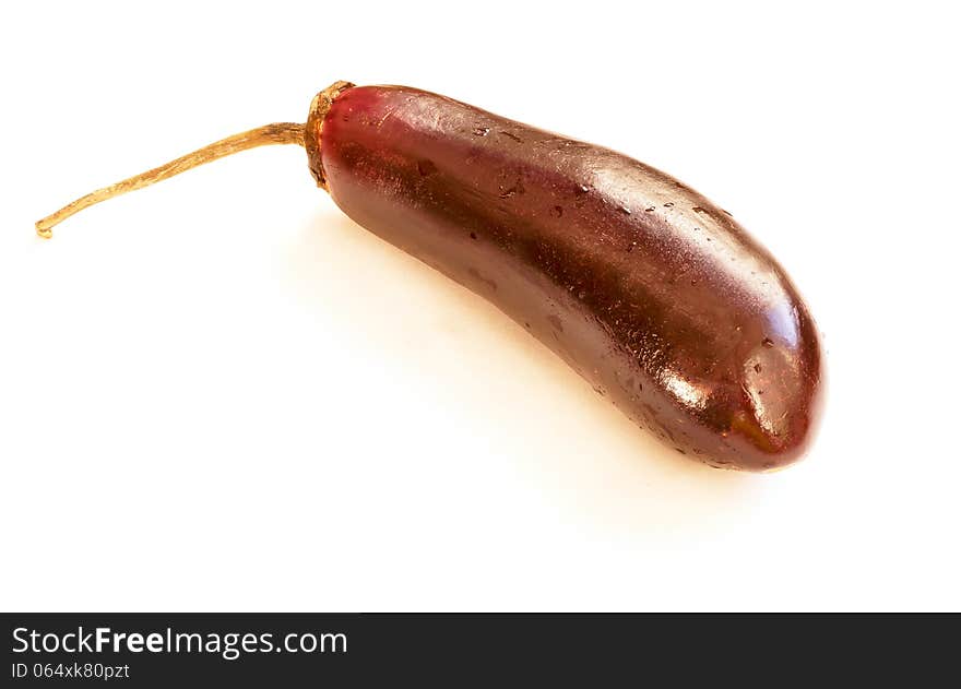 One eggplant on a white background