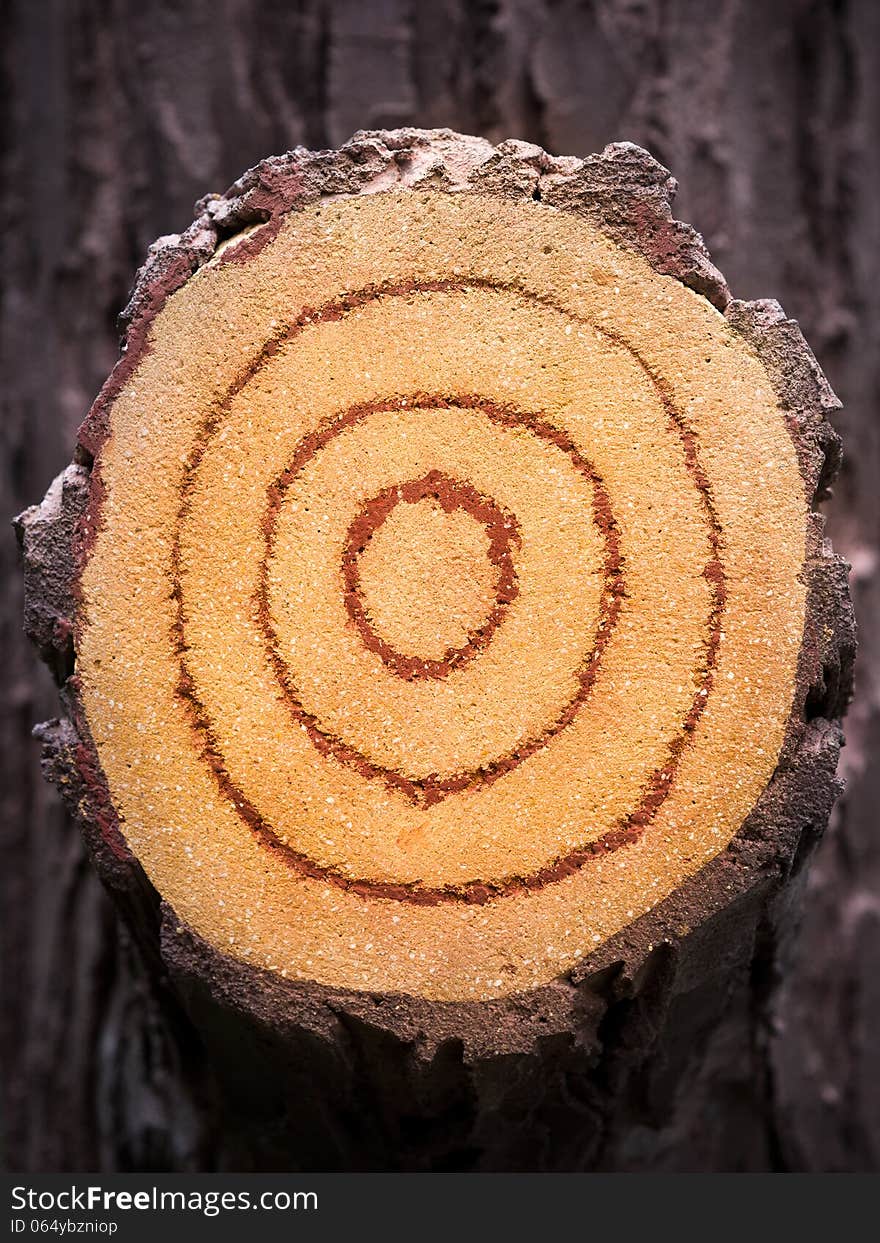 Concrete imitations growth rings close-up. Concrete imitations growth rings close-up