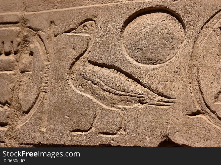 Egyptian hieroglyph bird on the stone wall