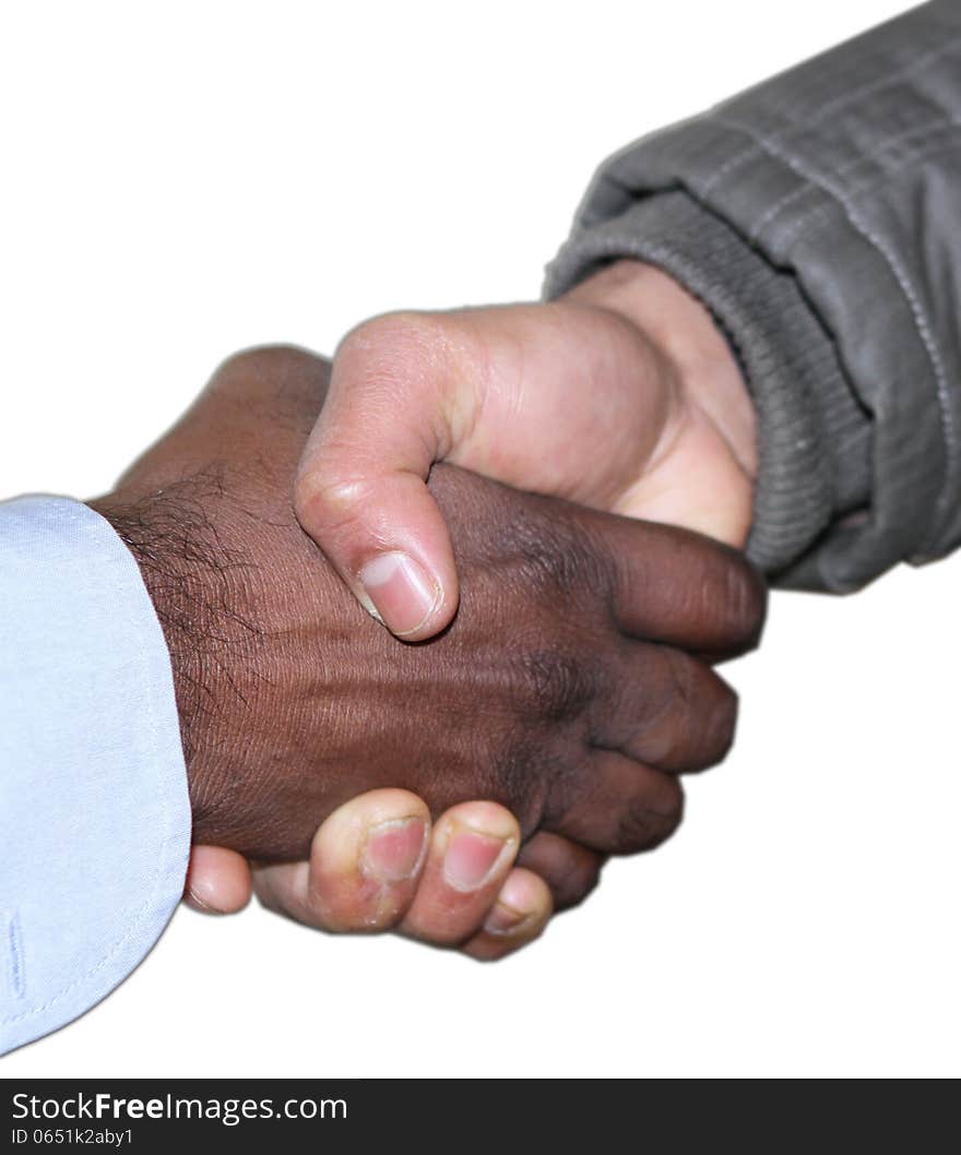 Two different people shaking hands. Two different people shaking hands