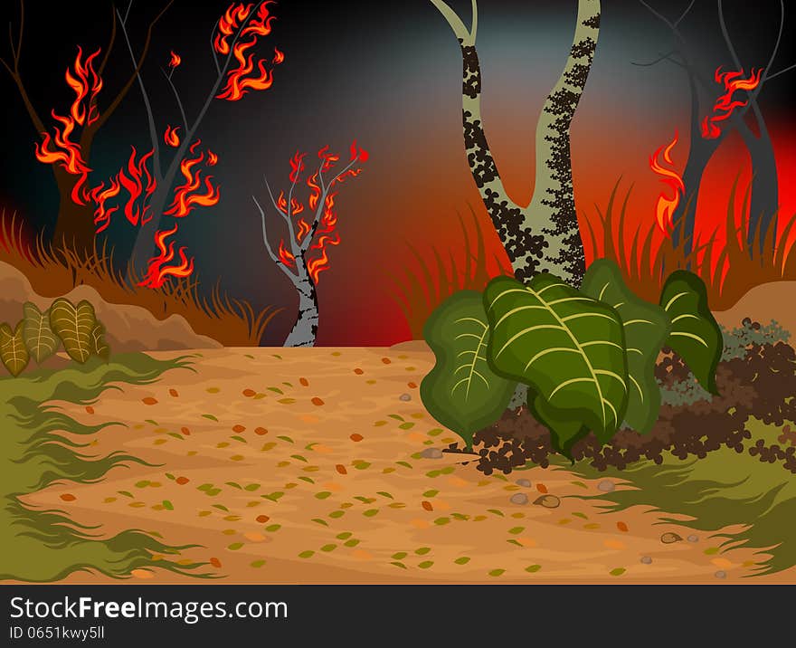 Wildfire destroys the environment nature background. Wildfire destroys the environment nature background