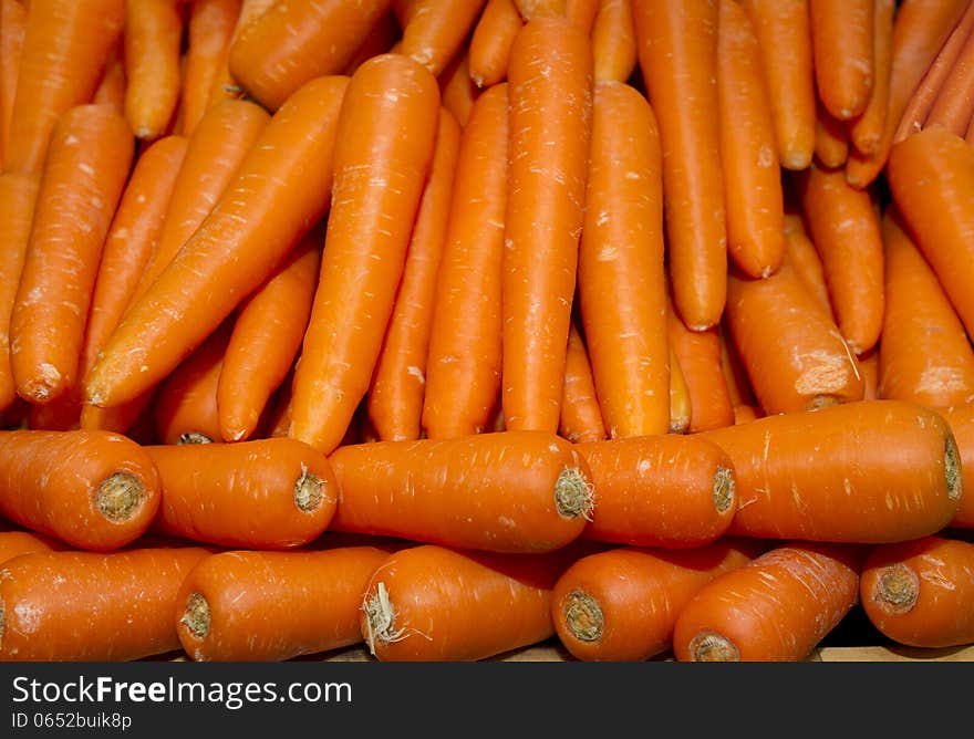 Bunch of carrots in white background.