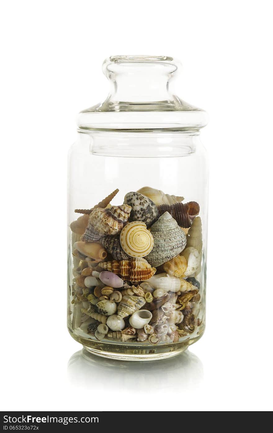 Small shells in jar on white background. Small shells in jar on white background