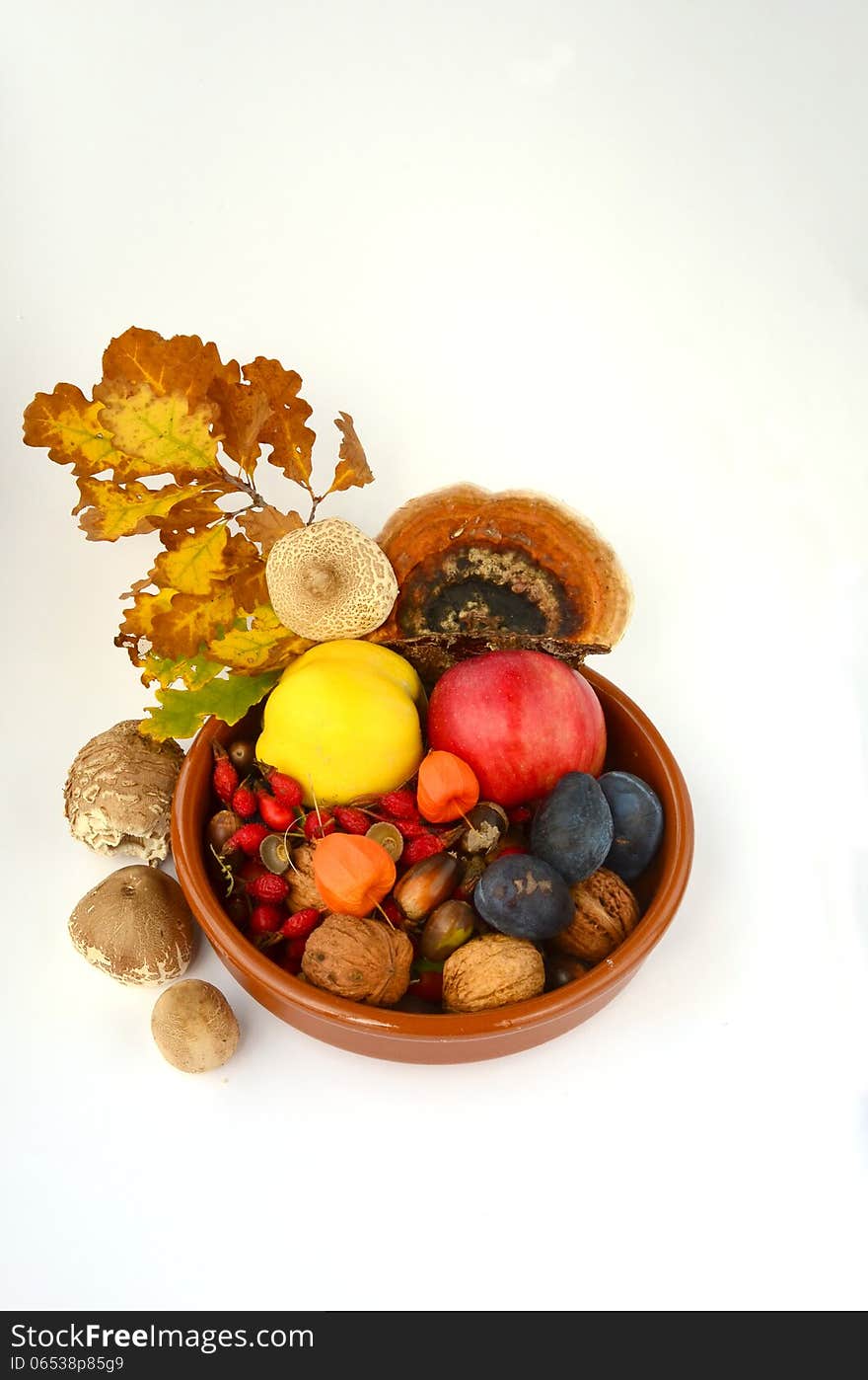 Autumn in a ceramic bowl - autumn decoration- fruit, fall leaves, acorns, nuts and mushrooms