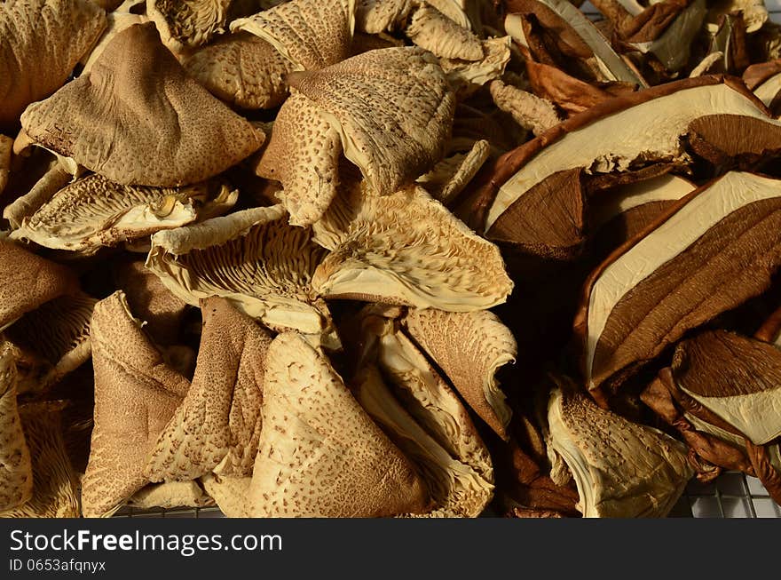 Background - full frame of dry Parasol mushrooms and Boletus. Background - full frame of dry Parasol mushrooms and Boletus