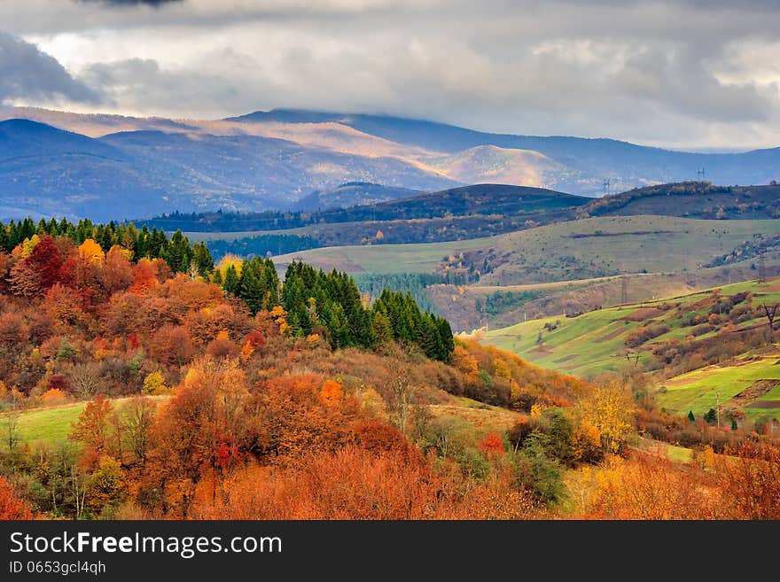 Autumn mountain landscape. hillside with pine and Colorful foliage aspen trees near green valley. Autumn mountain landscape. hillside with pine and Colorful foliage aspen trees near green valley