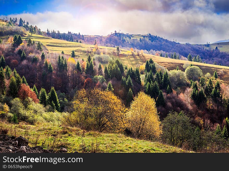 Autumn mountain landscape. valley on the hillside with coniferous and yellowed trees in early morning. Autumn mountain landscape. valley on the hillside with coniferous and yellowed trees in early morning