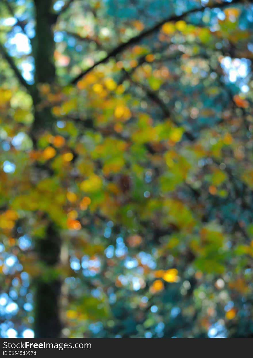 Blurred tree with fall-colored leaves creates an autumn themed background. Blurred tree with fall-colored leaves creates an autumn themed background