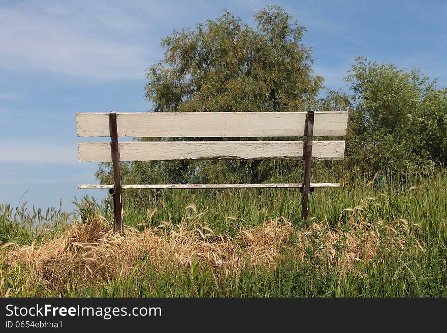 Bench in nature with a view to the sky