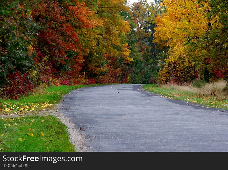 The photograph shows a narrow paved country road. On both sides of the road are trees and shrubs. It is autumn, the leaves are of different colors, the leaves still green, and yellow and brown. The photograph shows a narrow paved country road. On both sides of the road are trees and shrubs. It is autumn, the leaves are of different colors, the leaves still green, and yellow and brown.