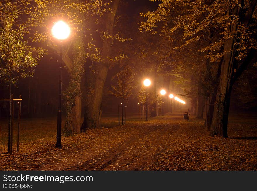 The picture shows Park 'alley at night. On the left side of the lane is a row of electric lanterns illuminating the darkness. The picture shows Park 'alley at night. On the left side of the lane is a row of electric lanterns illuminating the darkness.