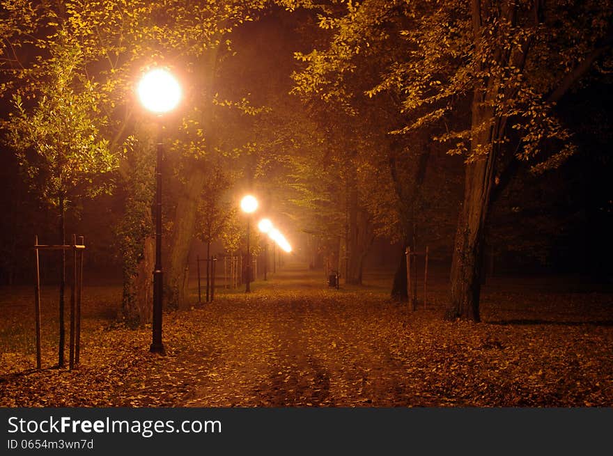 The picture shows Park 'alley at night. On the left side of the lane is a row of electric lanterns illuminating the darkness. The picture shows Park 'alley at night. On the left side of the lane is a row of electric lanterns illuminating the darkness.