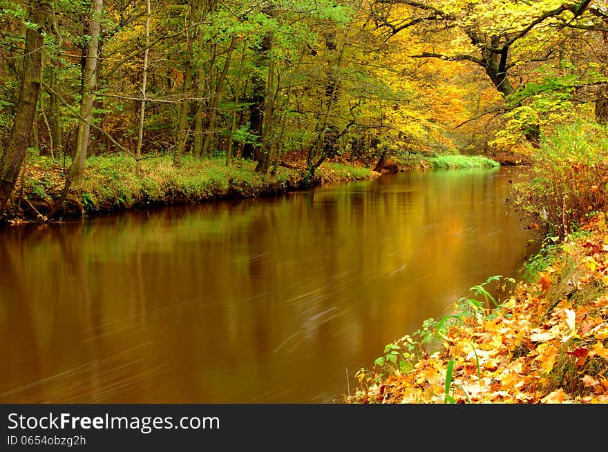 The photograph shows a small river flowing through the forest. It is autumn, the leaves are green, yellow and brown. The photograph shows a small river flowing through the forest. It is autumn, the leaves are green, yellow and brown.