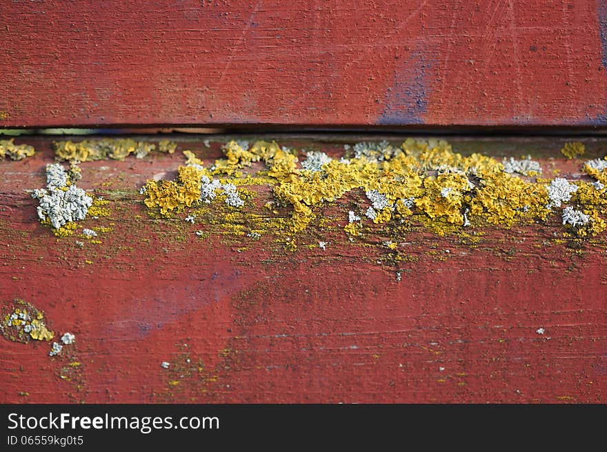 Old red wodden board with lichen from an abandoned train wagon. Old red wodden board with lichen from an abandoned train wagon