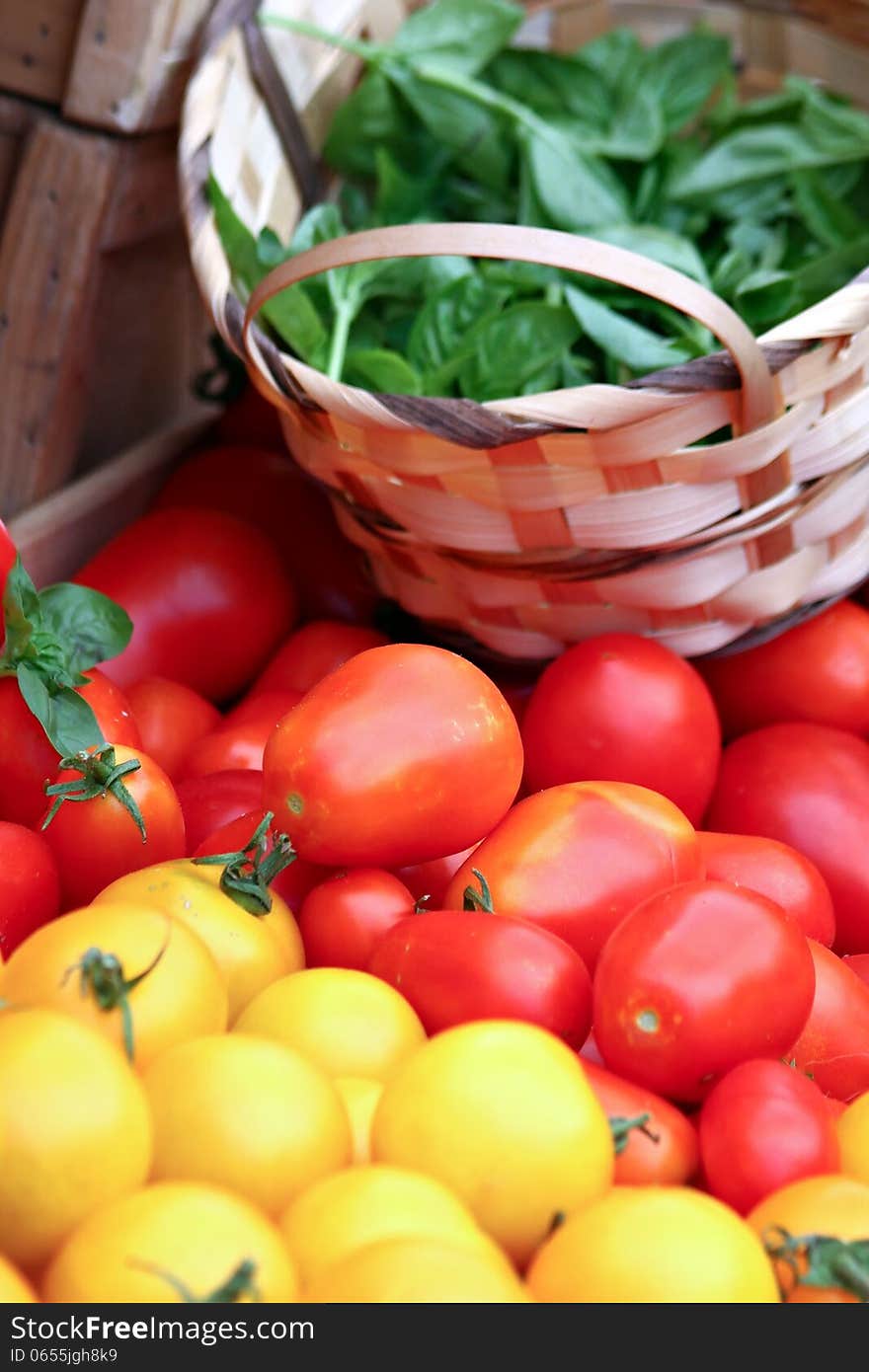 Basil and Tomatoes