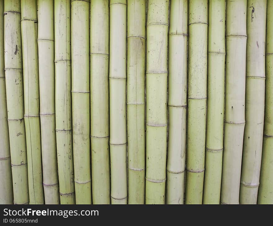 Photo of The Bamboo Background