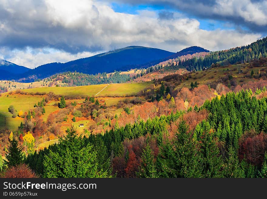 Autumn hillside with red and yellow forest