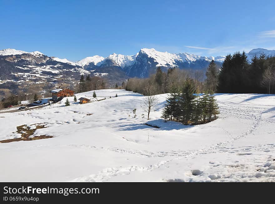 Winter Landscape