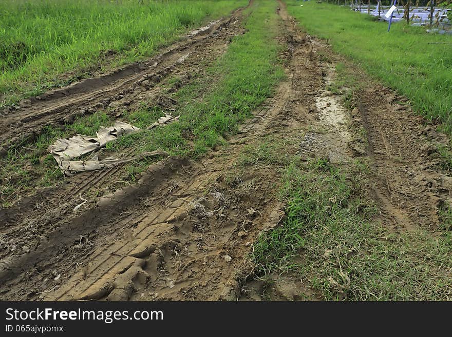 Dirt wet road in thailand. Dirt wet road in thailand.