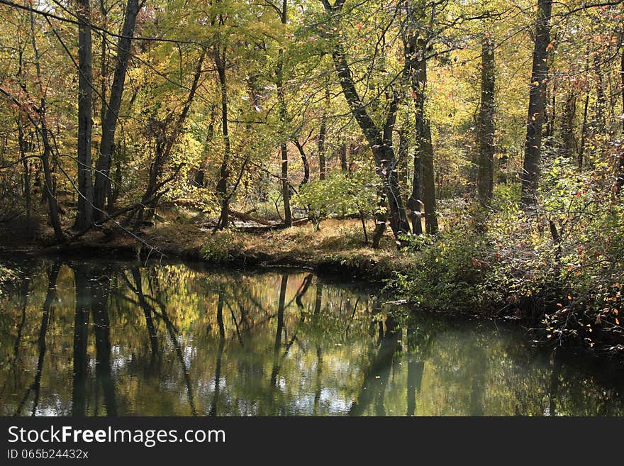 Beautiful yellow fall trees with reflection. Beautiful yellow fall trees with reflection