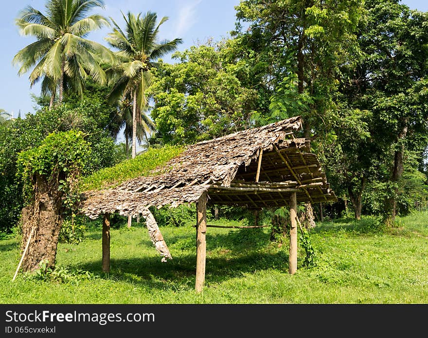 Old ramshackle wooden shack in the forest