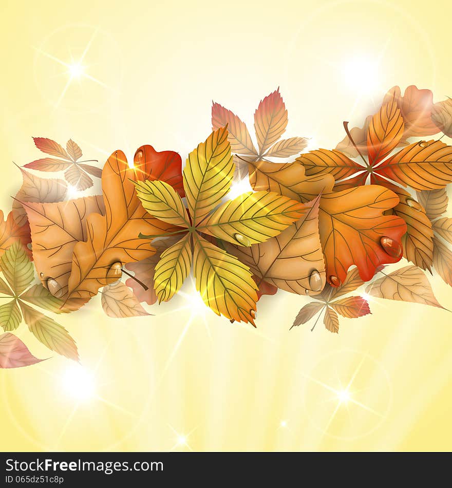 Autumn Background With Leaves.