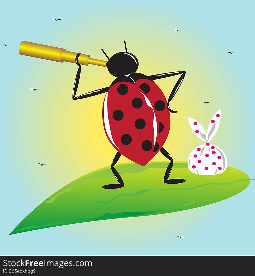 Ladybird . Humor, ladybird with a telescope