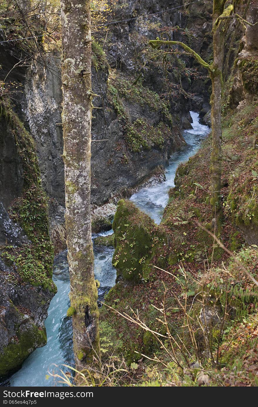 Predaselj Creek With A Blue Spring