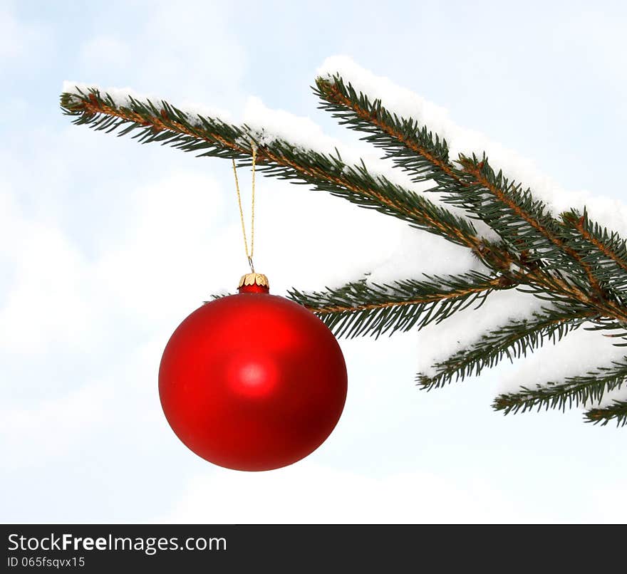 Red glass ball hanging on the snowy twig of the spruce. Red glass ball hanging on the snowy twig of the spruce