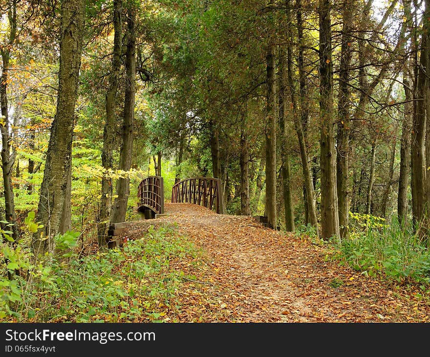 A hiking trail bridge