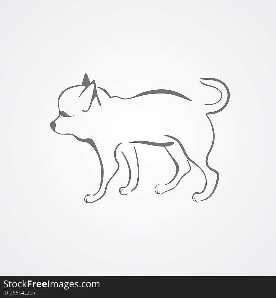 Chihuahua Dog  On A White Background