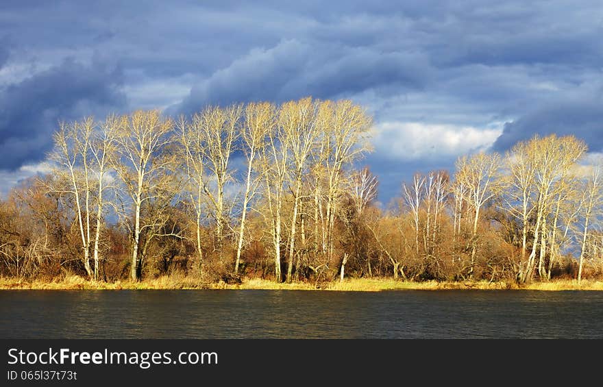 Autumn landscape on a background cloudy sky