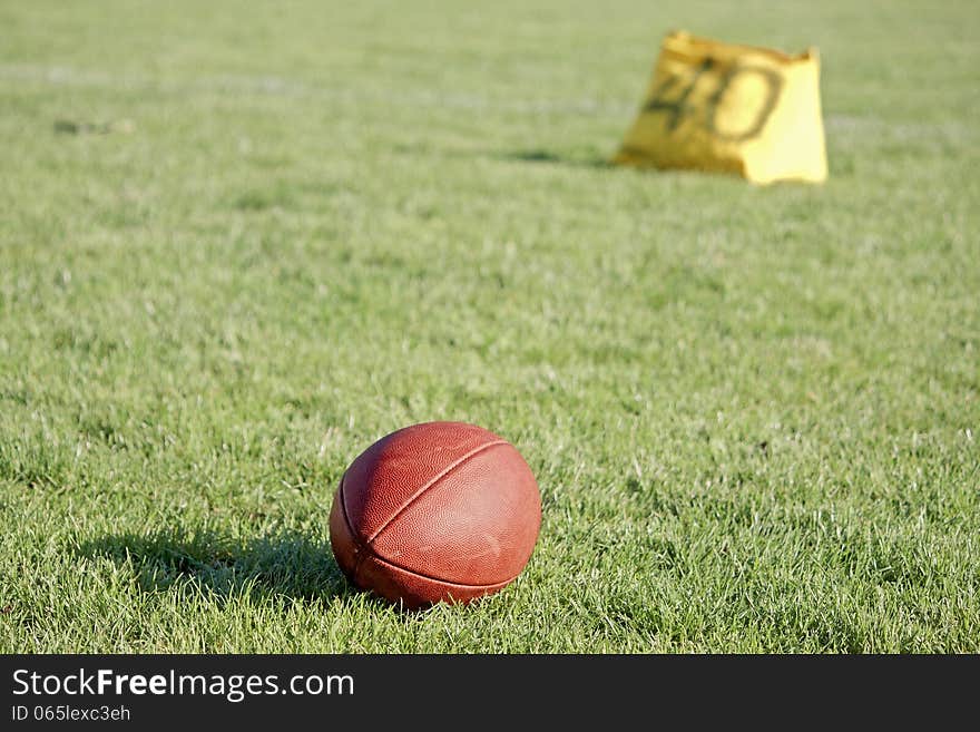 American football ball on the grass. American football ball on the grass