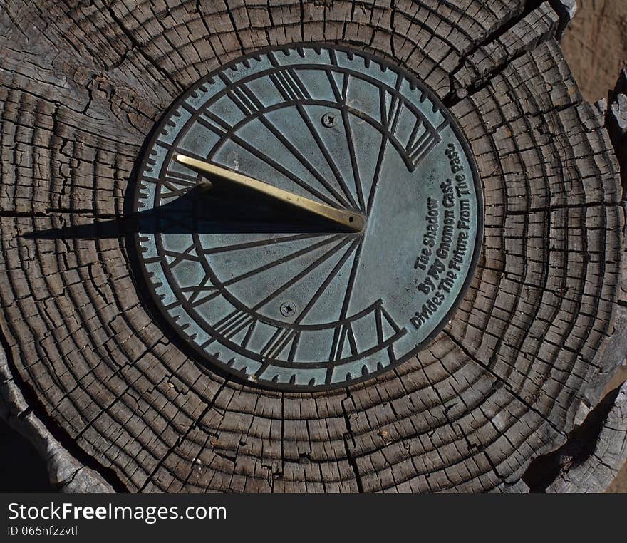 A sun dial stuck in a stump