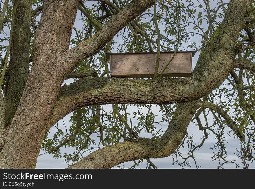 Bird house on the tree