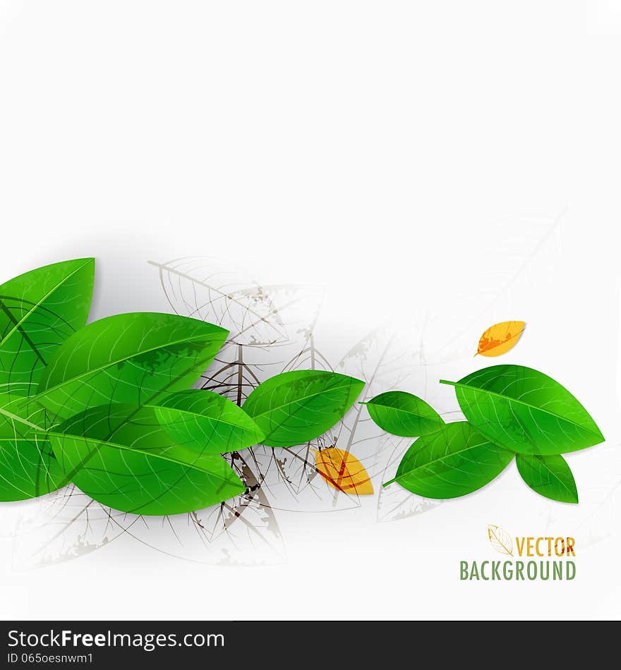 Green leaves background with decorative elements